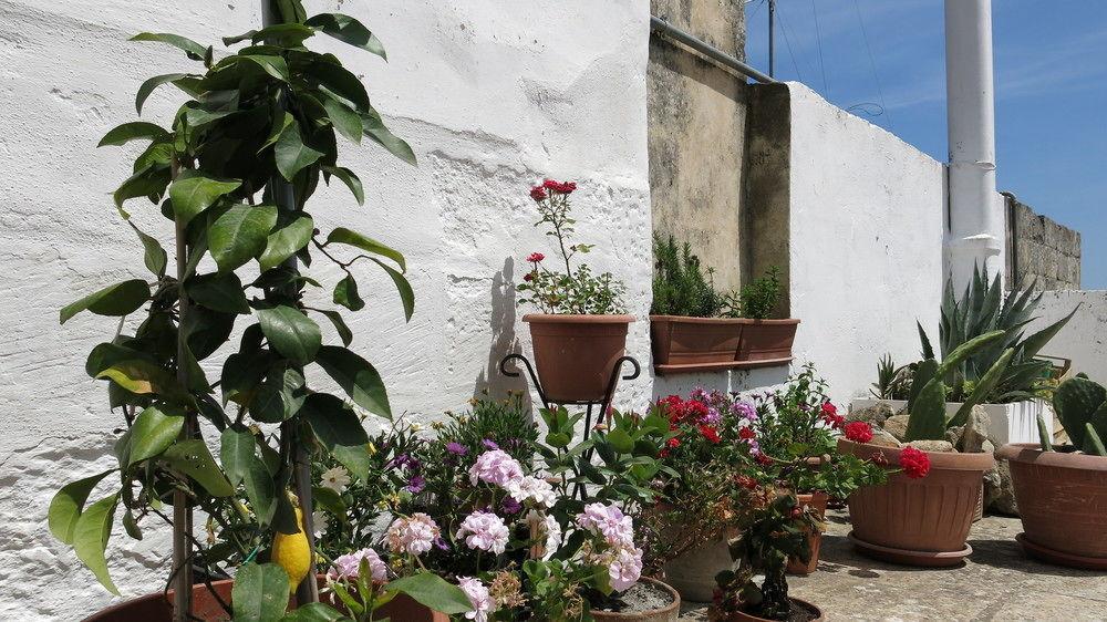 Bed & Breakfast Volver Lecce